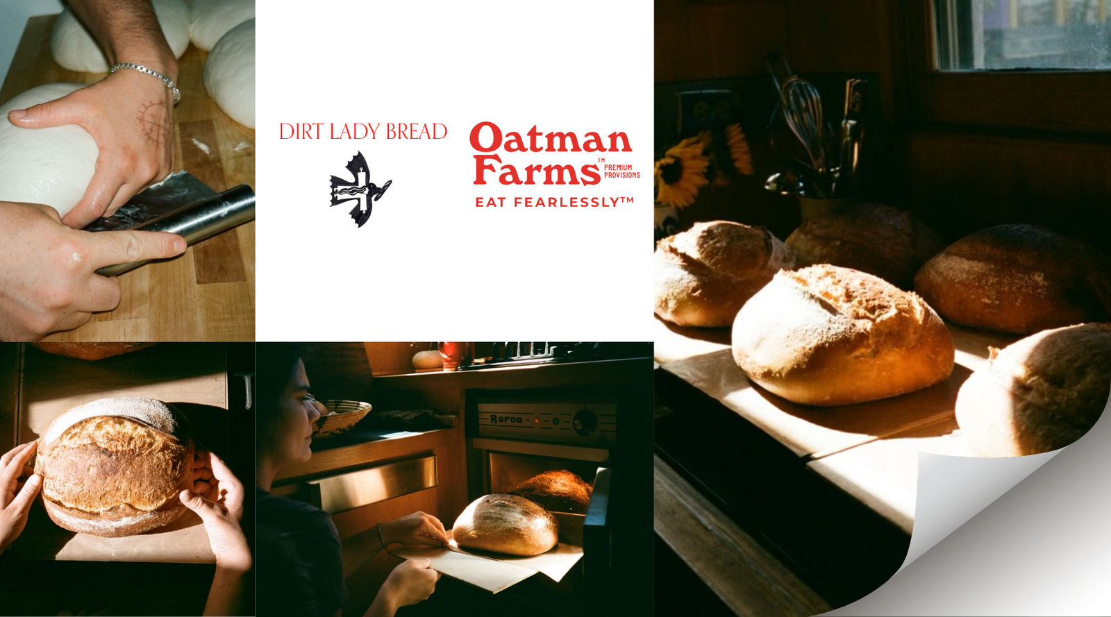 Healing our Relationship to Bread