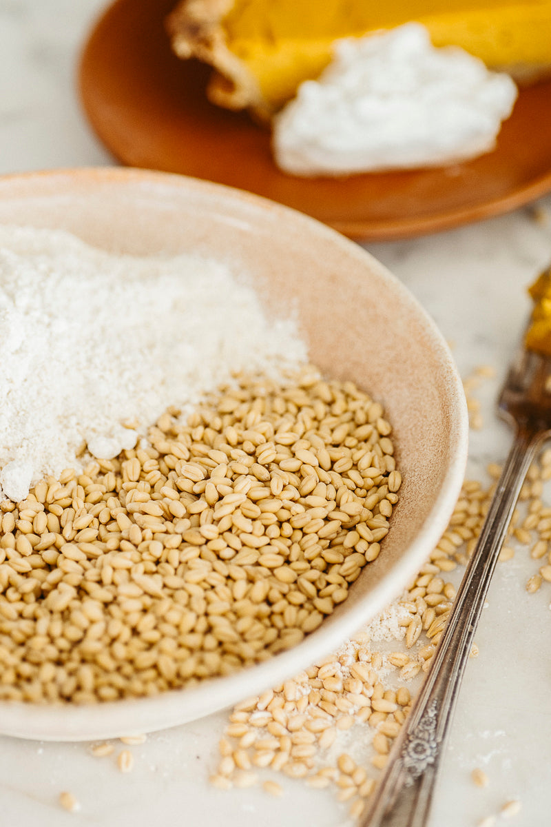 photograph of wheat berries and flour in a bowl with a fork beside it and wheat berries on the countertop
