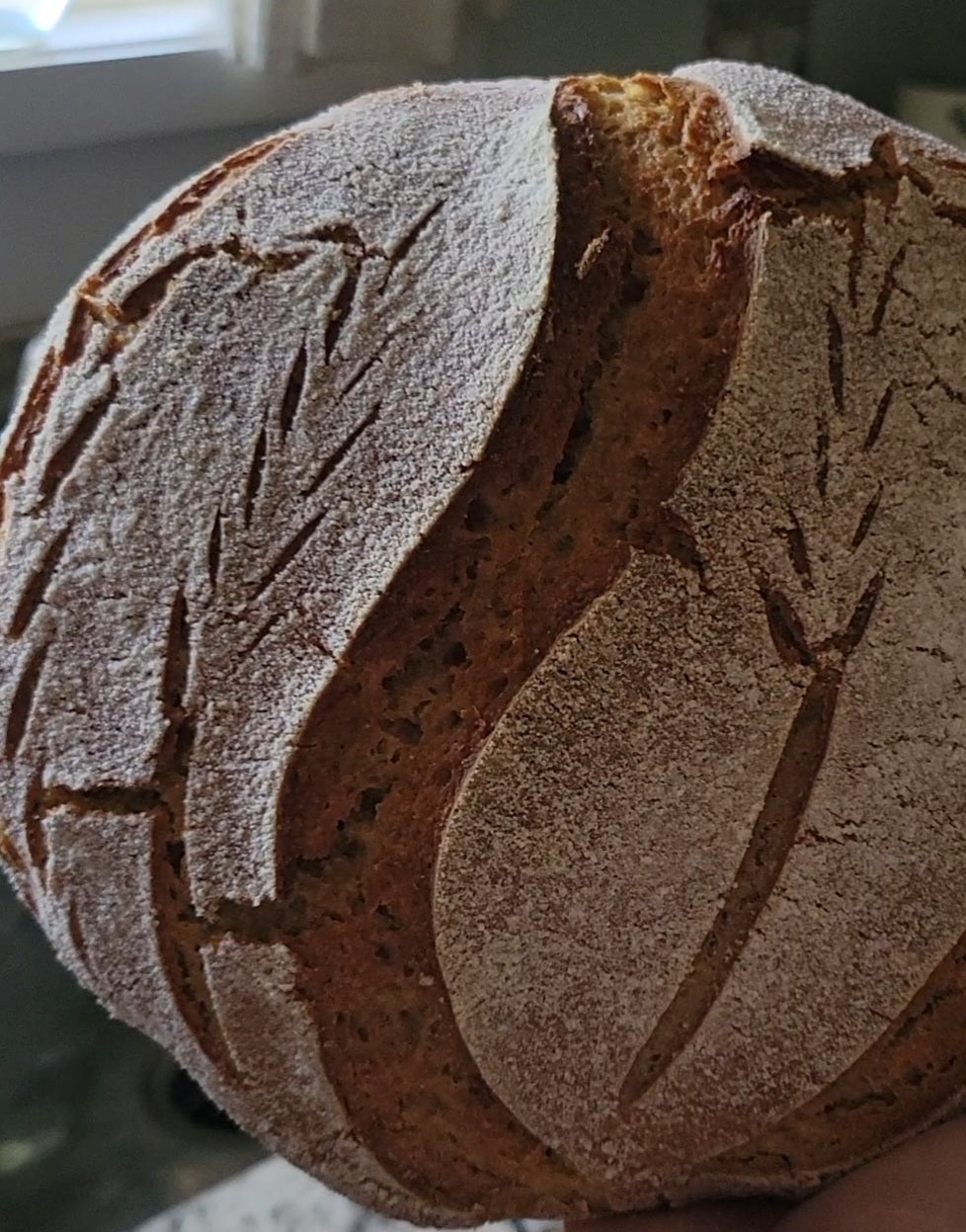 Heart of Arizona Sourdough