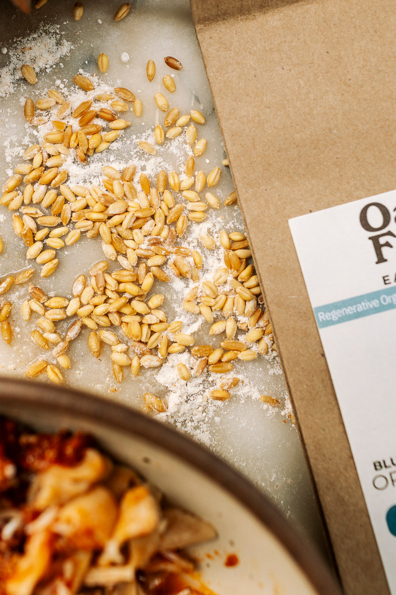 Oatman Farms LLC wheat berries ROC® Blue Beard Durum White Sonora Wheat Berry Blend